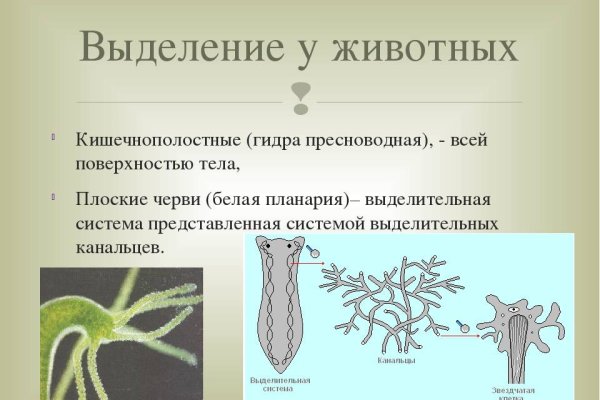 Кракен маркет только через тор