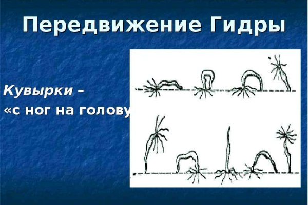 Как вывести деньги с кракена