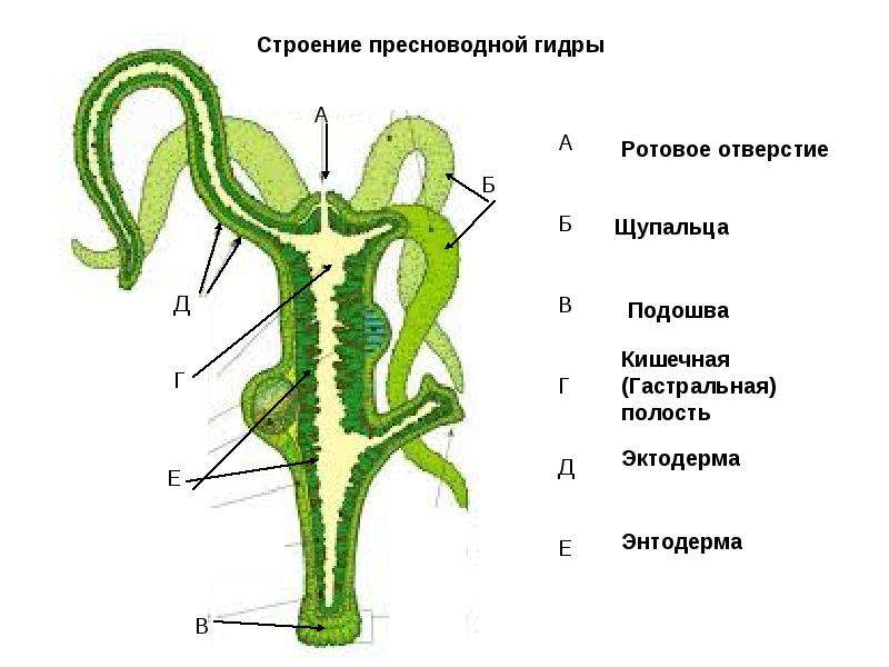 Кракен сайт юнион